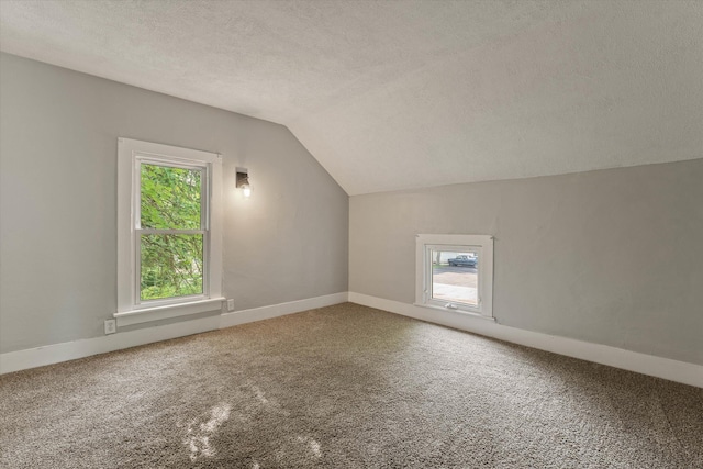 1334 Regent St, Niles, MI 49120 - additional living space featuring a textured ceiling, vaulted ceiling, healthy amount of natural light, and carpet floors