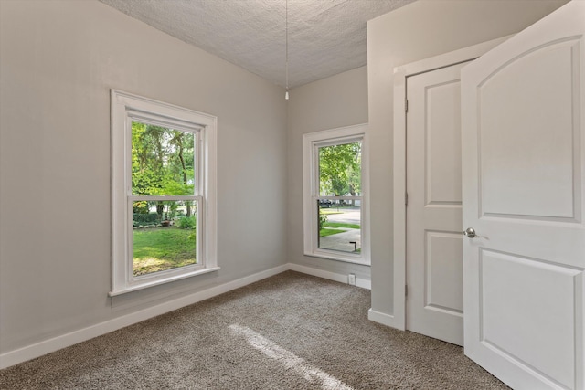 1334 Regent St, Niles, MI 49120 - carpeted spare room with a textured ceiling and baseboards