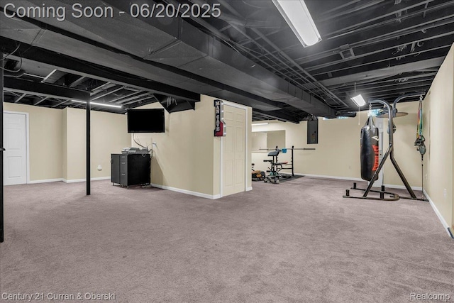 100 Mornington Ct, Canton, MI 48188 - finished below grade area featuring electric panel and carpet floors