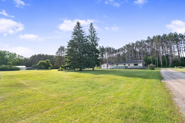 7873 River Rd, Evart, MI 49631 - photo 1
