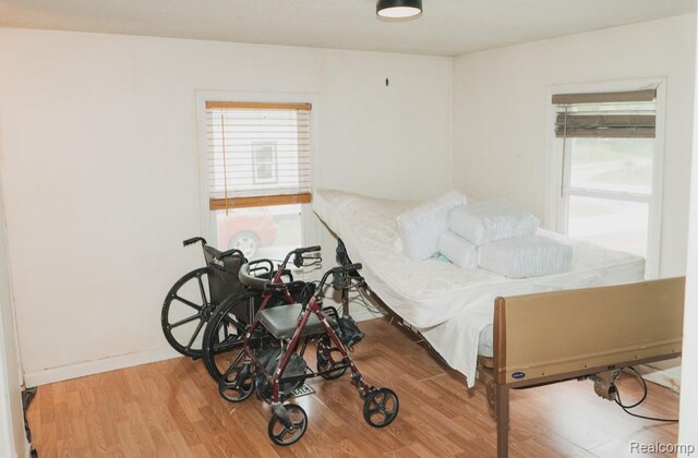 11709 Old Belding Rd NE, Belding, MI 48809 - bedroom featuring multiple windows and wood finished floors