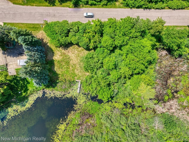 VL Crane Road, Fenton, MI 48430 - photo 9