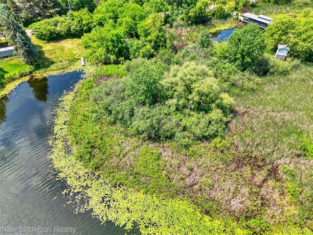VL Crane Road, Fenton, MI 48430 - photo 12