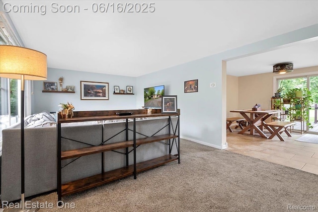 20558 Meridian Rd, Grosse Ile, MI 48138 - carpeted living area featuring baseboards