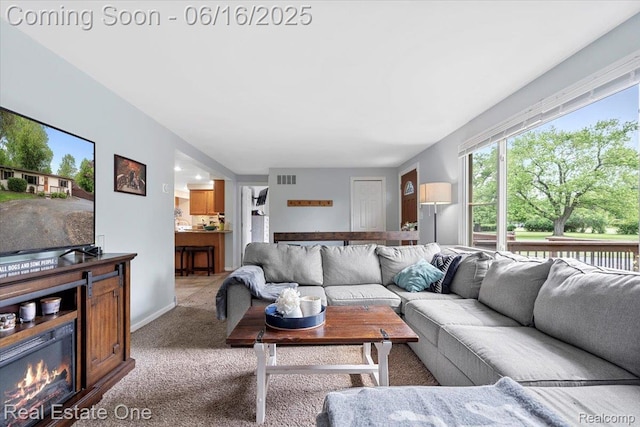 20558 Meridian Rd, Grosse Ile, MI 48138 - carpeted living room with a glass covered fireplace