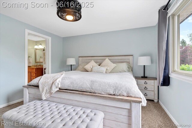 20558 Meridian Rd, Grosse Ile, MI 48138 - carpeted bedroom featuring multiple windows and ensuite bathroom