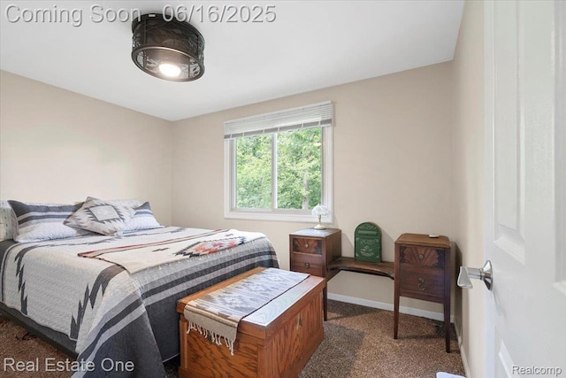 20558 Meridian Rd, Grosse Ile, MI 48138 - carpeted bedroom with baseboards