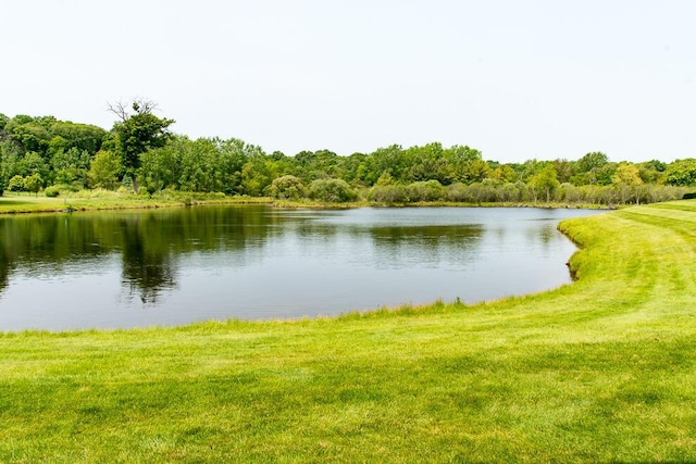 8734 Oakland Hills Cir Unit 6, Portage, MI 49024 - water view featuring a forest