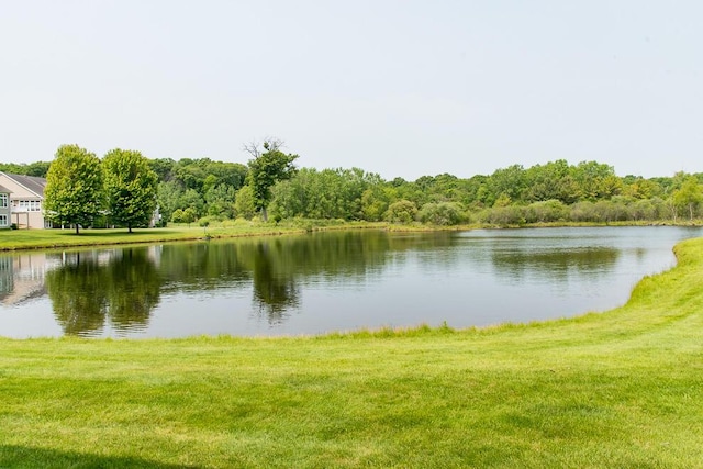 8734 Oakland Hills Cir Unit 6, Portage, MI 49024 - water view