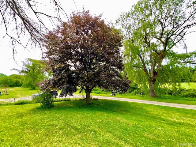 3615 N Mill Rd, Dryden, MI 48428 - view of yard