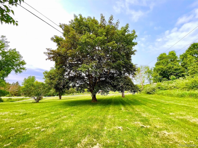 3615 N Mill Rd, Dryden, MI 48428 - view of grassy yard