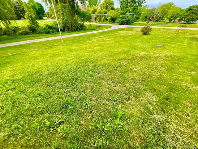 3615 N Mill Rd, Dryden, MI 48428 - view of grassy yard featuring view of wooded area