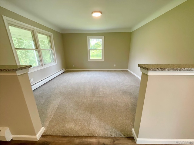 3615 N Mill Rd, Dryden, MI 48428 - unfurnished room with baseboard heating and carpet