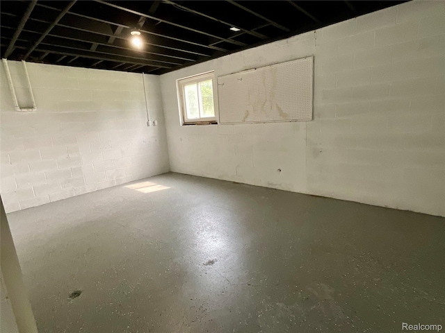 3615 N Mill Rd, Dryden, MI 48428 - below grade area featuring concrete block wall