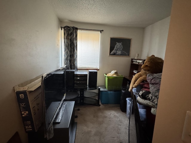 2919 Byron Center Ave SW Unit F, Wyoming, MI 49519 - carpeted bedroom with a textured ceiling