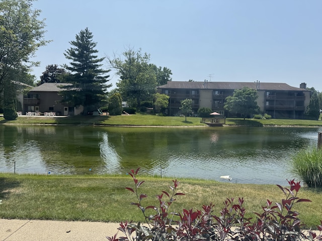 2919 Byron Center Ave SW Unit F, Wyoming, MI 49519 - water view