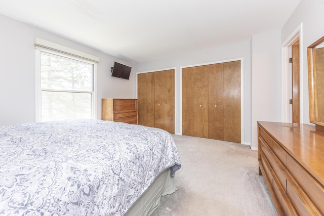 492 Colin Cir, Ann Arbor, MI 48103 - bedroom featuring multiple closets and light colored carpet
