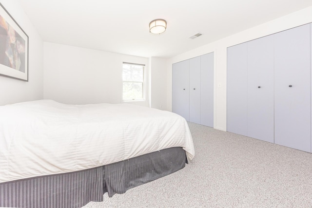 492 Colin Cir, Ann Arbor, MI 48103 - bedroom with multiple closets and carpet floors