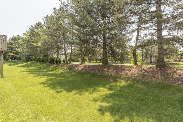 492 Colin Cir, Ann Arbor, MI 48103 - view of green lawn