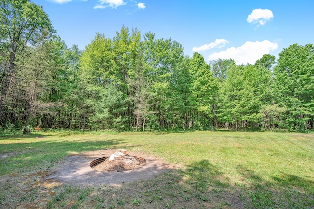 283 W 16th St, Baldwin, MI 49304 - view of green lawn with an outdoor fire pit and a forest view