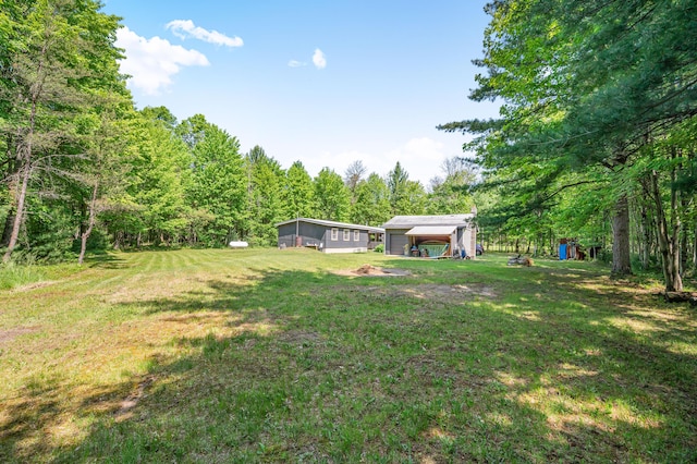 283 W 16th St, Baldwin, MI 49304 - view of green lawn featuring an outdoor structure and a view of trees