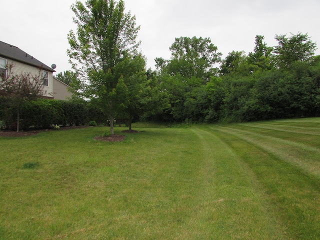1995 Frances Way, Ypsilanti, MI 48198 - view of grassy yard