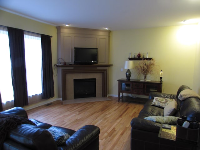 1995 Frances Way, Ypsilanti, MI 48198 - living room featuring light wood-style floors and a fireplace