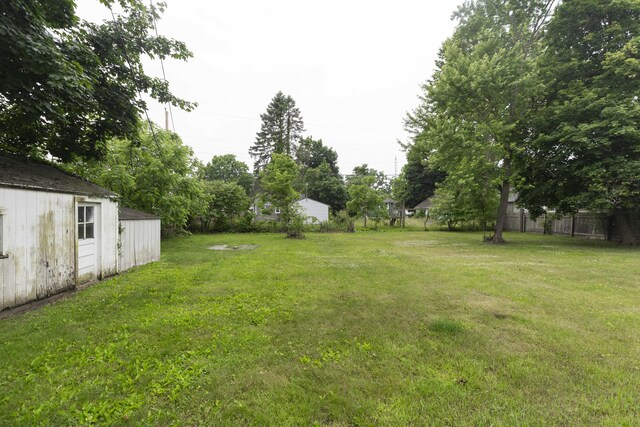 318 Cecil St, Buchanan, MI 49107 - view of yard