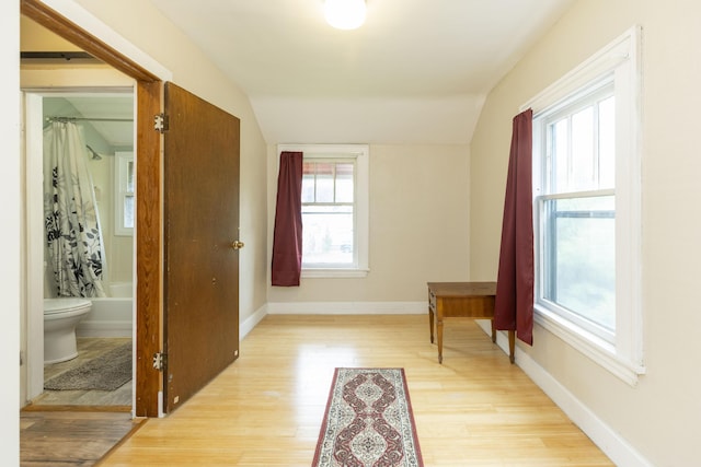 318 Cecil St, Buchanan, MI 49107 - corridor featuring vaulted ceiling, light wood finished floors, and healthy amount of natural light