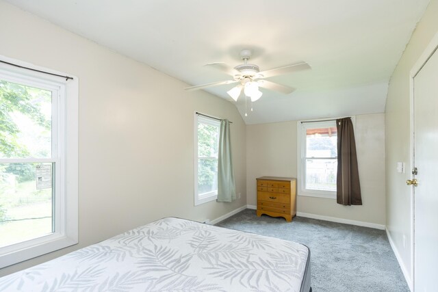 318 Cecil St, Buchanan, MI 49107 - carpeted bedroom with a ceiling fan and lofted ceiling