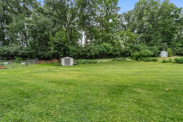 3125 Fawn Ln, Jackson, MI 49201 - view of yard with a storage shed