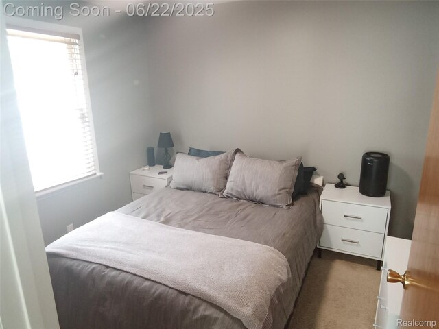 3923 Donley Ave, Rochester Hills, MI 48309 - photo 10