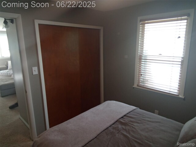 3923 Donley Ave, Rochester Hills, MI 48309 - photo 11