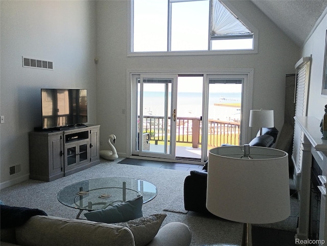 50703 Harbour View Dr N, New Baltimore, MI 48047 - living room featuring high vaulted ceiling and baseboards