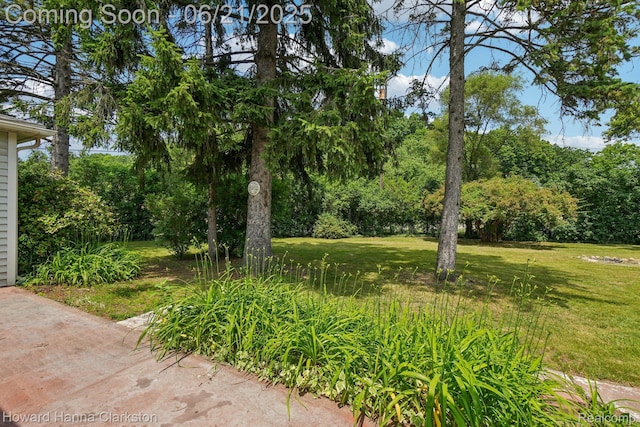5766 Corunna Ave, Clarkston, MI 48346 - view of green lawn