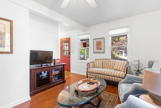 317 Cherry St, South Haven, MI 49090 - living room featuring wood finished floors and a ceiling fan