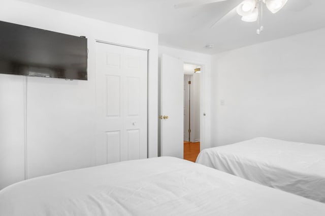 317 Cherry St, South Haven, MI 49090 - bedroom featuring a closet and a ceiling fan