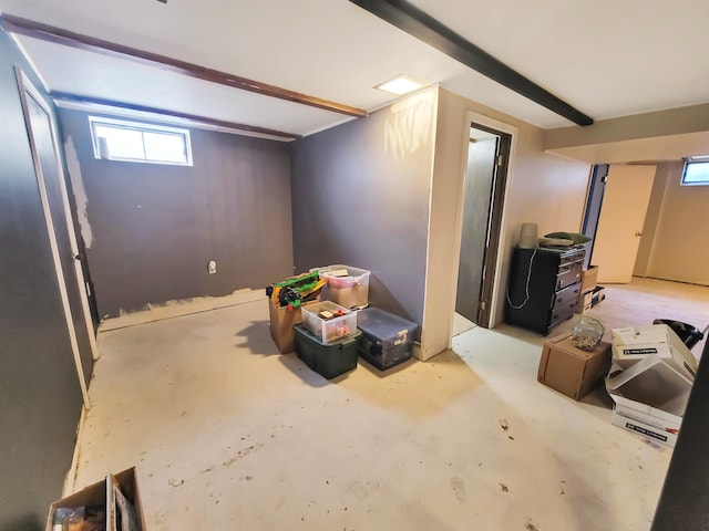 424 Leland St, Flushing, MI 48433 - view of below grade area