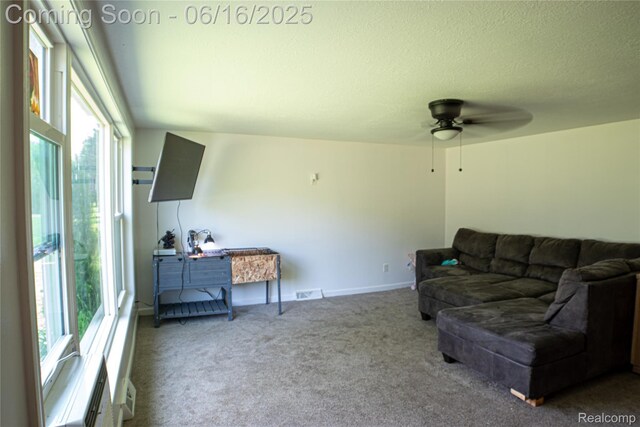 4351 Wheeler Rd, Standish, MI 48658 - photo 7