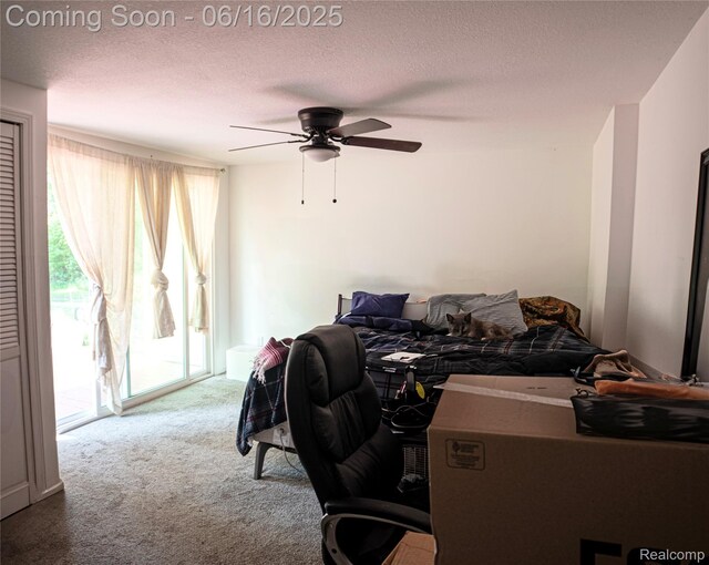 4351 Wheeler Rd, Standish, MI 48658 - photo 8
