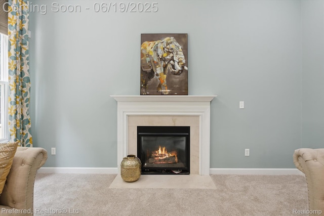 51159 Luke Ln, Novi, MI 48374 - detailed view of carpet floors and a high end fireplace
