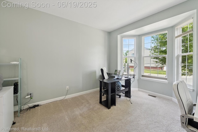 51159 Luke Ln, Novi, MI 48374 - carpeted office space with plenty of natural light
