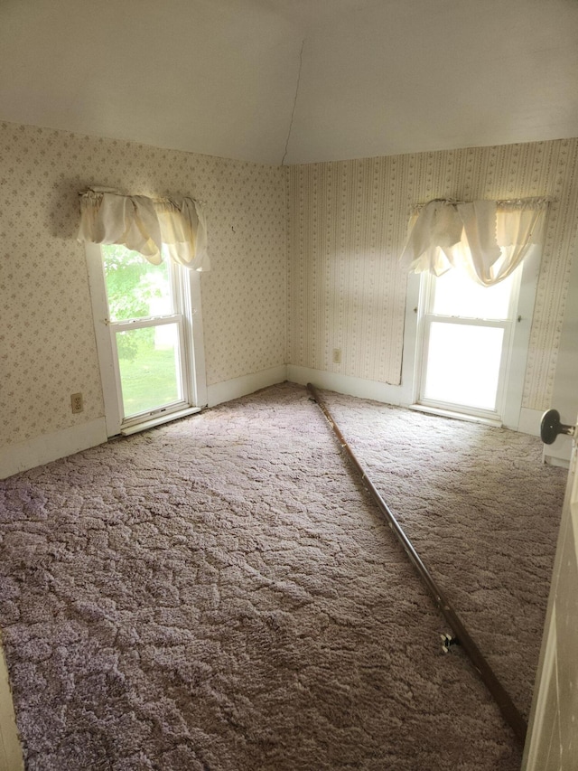 222 Scribner St, Delton, MI 49046 - empty room with carpet and healthy amount of natural light