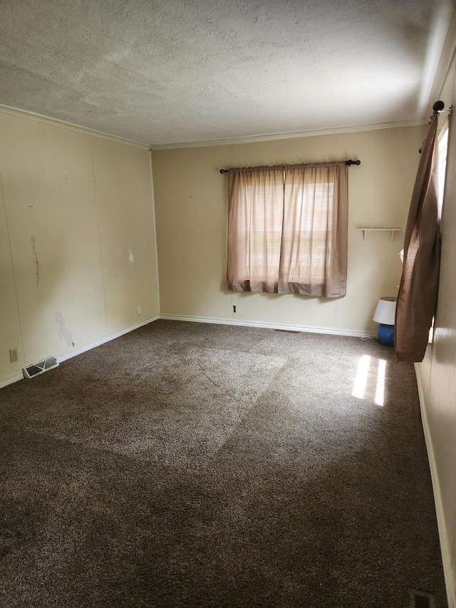222 Scribner St, Delton, MI 49046 - carpeted spare room featuring ornamental molding and a textured ceiling