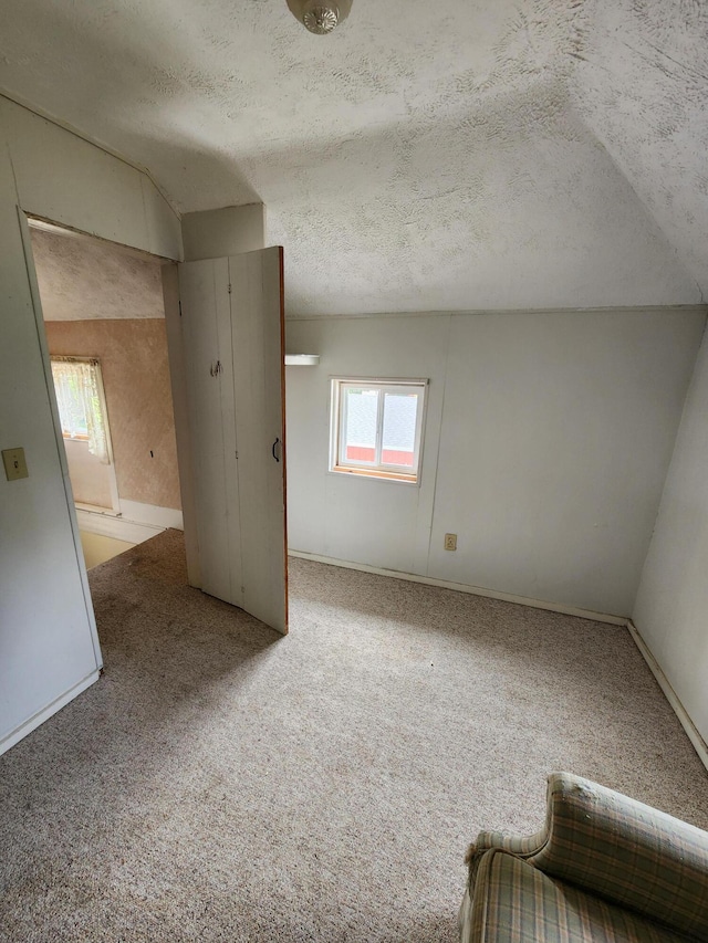 222 Scribner St, Delton, MI 49046 - unfurnished room featuring a textured ceiling and carpet floors