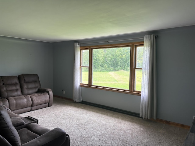 10510 S Hemlock, Brant, MI 48614 - living area featuring carpet and baseboards