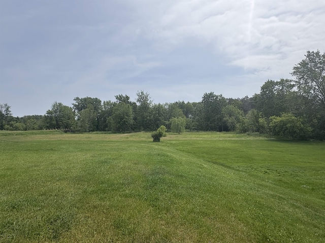 10510 S Hemlock, Brant, MI 48614 - view of green lawn with a rural view