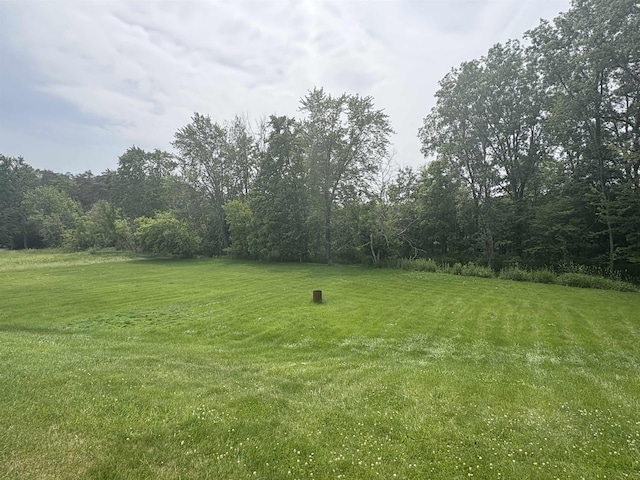 10510 S Hemlock, Brant, MI 48614 - view of grassy yard featuring a view of trees