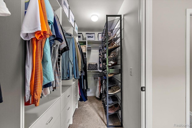 966 Wynstone Cir N, Oakland, MI 48363 - walk in closet featuring carpet flooring