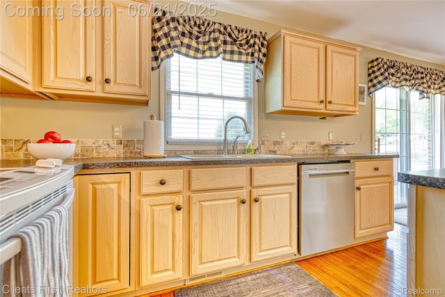 1070 Pointe Place Ct, Rochester, MI 48307 - kitchen featuring stainless steel dishwasher, light brown cabinetry, healthy amount of natural light, and light wood-style floors